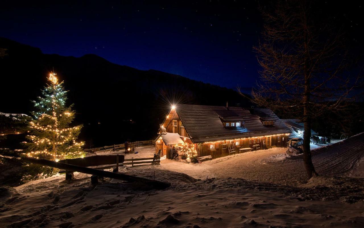 Bergnest